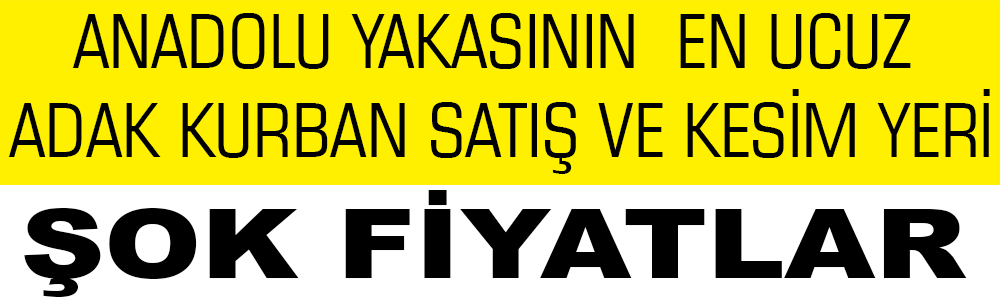 Erenköy Adak