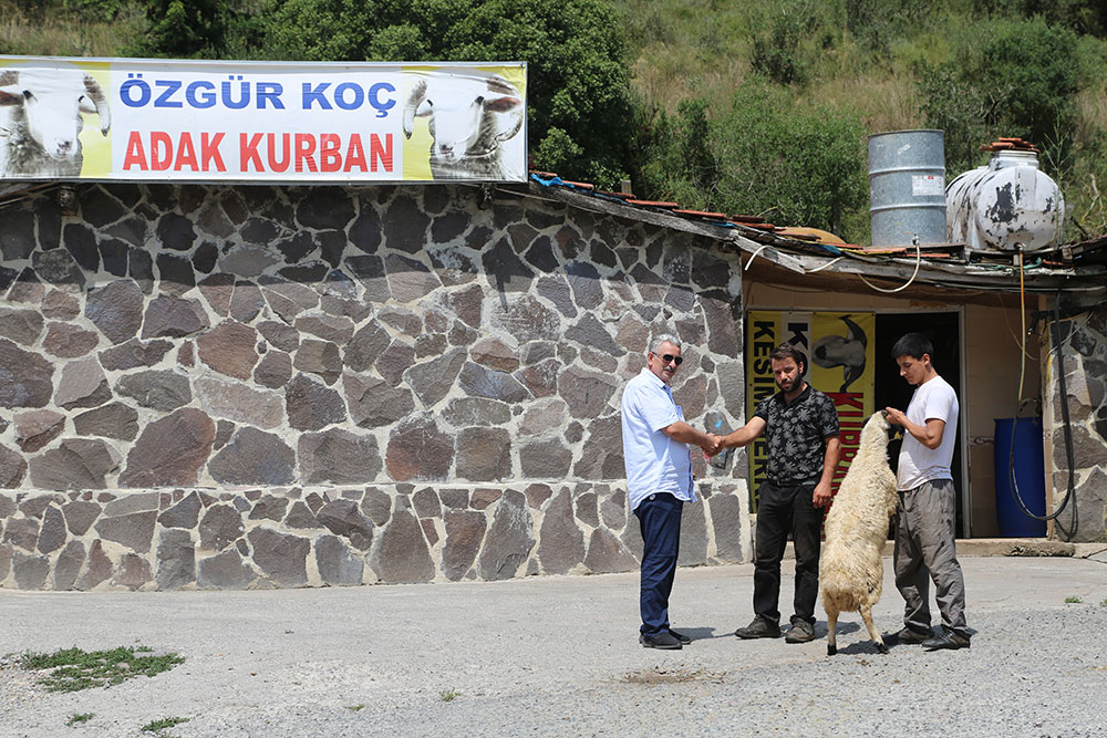 Sultanbeyli Adak Satış